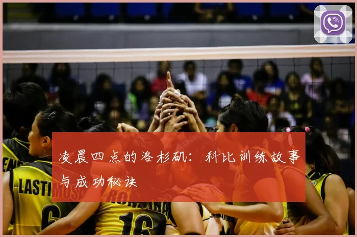 凌晨四点的洛杉矶：科比训练故事与成功秘诀